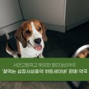동탄365약국 이미지