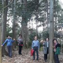 고모령식당 | 한밤의 사진편지 제2596호(할미꽃하모니카앙상블 남도순회연주회 후기 - 박정임/'18/4/15/일)