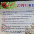 꾸지뽕삼계탕 이미지