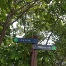 계명산자연휴양림 이미지