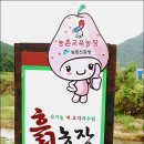 최고집농장 이미지