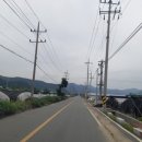 금천2-1 농로 이미지