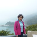 흑산도 일주도로 Daum카페