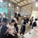 동아 태권도 | <동아 트리니티 태권도> 밀양 농촌 체험 후기