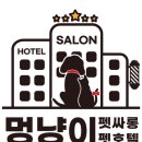 멍냥이 펫싸롱, 펫호텔 이미지