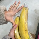 연미마트 네이버블로그