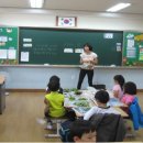 매원초등학교 데일리와이