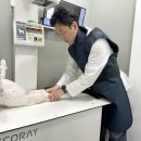 광안동물병원 이미지