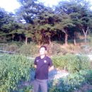 달빛농장 이미지