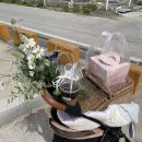 오마이샷츠 이미지