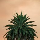 펜드로잉 이미지