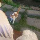 호텔 호피폴라 | 김해 호텔호피폴라 후기