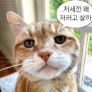 감나무집공할머니민박 | 터지는 불빛 사이로 쏟아져 내리는 별들에게 물어봐