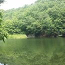 산양소류지 네이버블로그