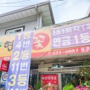 현암꽃플라워 네이버블로그