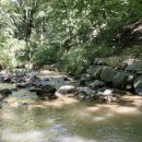 장척계곡식당 이미지