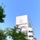 동부여성사우나 | 대구 동아스포츠센터 수영장 수성구 평일자유수영 주말자유수영 후기