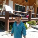 욱일농원 이미지