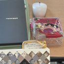 동부육체미 이미지