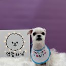 정봉미용실 네이버블로그