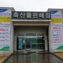 서귀포시축산업협동조합축산물플라자 이미지