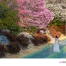 순천매산고등학교 이미지