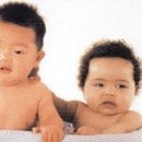 상담학개론 이미지