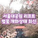 (주)인연2호점 | 서울대공원 리프트 패키지 벚꽃 동물원 주차 과천 방문 후기