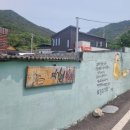 설레임여행사