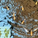 율하5로48 이미지