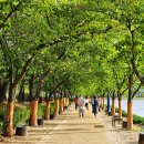 우로지 자연숲 황토길 이미지