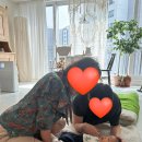 꼬꼬아가 | D+80 친정방문, 아기랑벚꽃놀이, 2개월아기터미타임, 꼬꼬맘후기