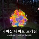 수륜면사무소 | 성주 가야산 나이트 트레킹 정견모주길 후기