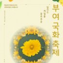 국화문화기획 이미지