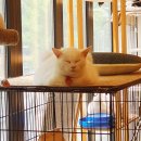 집사의 하루 일산점 이미지