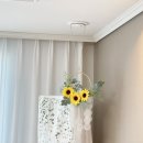 해바라기시스템에어컨 이미지