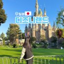 11545-06-25-11 | 일본 도쿄 디즈니랜드 입장료 예매 퍼레이드 시간 11월 방문 후기