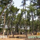 솔잎오토캠핑장 이미지