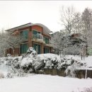 세양공인중개사사무소 이미지