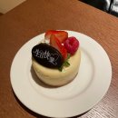 뉴월드 | 상해 숙소 래디슨 블루 호텔 상하이 뉴월드 내돈내산 후기