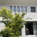 리오네 | 🍷수영 리오네 재방문후기