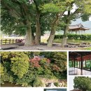 탐진사인마을 | 전남 장흥 '정자 호핑투어'