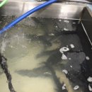 석산민물매운탕 이미지