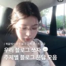 키드윈 | 🍄