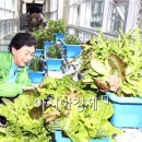 대동면주민자치센터 이미지