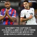 뉴캐슬클럽 이미지