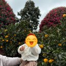 오성목장 이미지