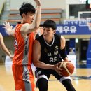 리바운드 이미지