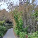 죽담경로당 이미지