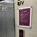 부산 센텀브랜드리스 베스트슬립 방문 구매후기 신혼부부 가성비 매트리스 추천